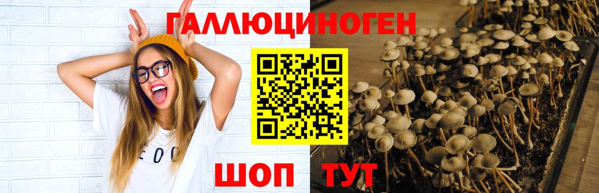 Псилоцибиновые грибы мицелий  Вход с VPN  Лабытнанги 